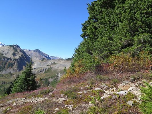 ArtistPoint Mt Baker tool130