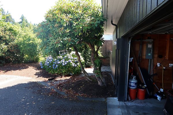 1569 NW 167th St Shoreline House - 26