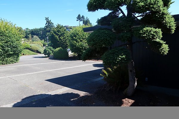 1569 NW 167th St Shoreline House - 38