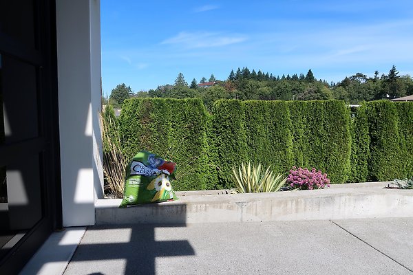 17735 17th Ave NW Shoreline house - 32