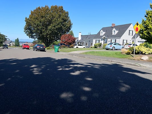 Rucker and 8th Everett Residential Streets - 50