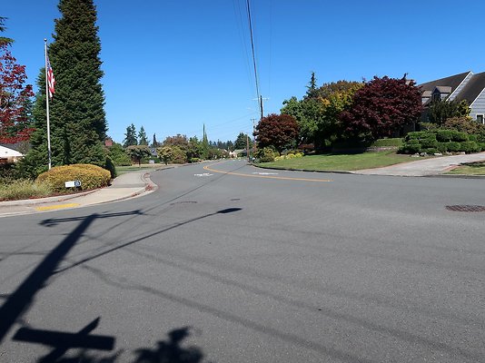 Rucker and 8th Everett Residential Streets - 99