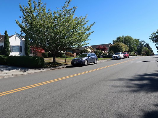 Rucker and 8th Everett Residential Streets - 113