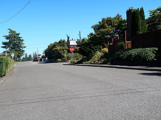 Rucker and 8th Everett Residential Streets - 133