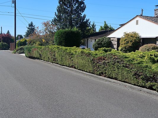 Rucker and 8th Everett Residential Streets - 21