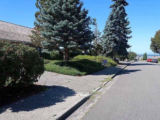 Rucker and 8th Everett Residential Streets - 1