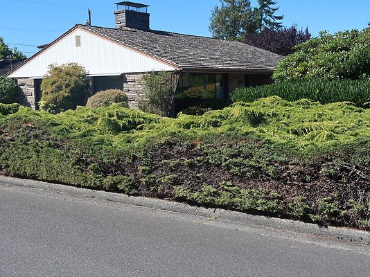 Rucker and 8th Everett Residential Streets - 22