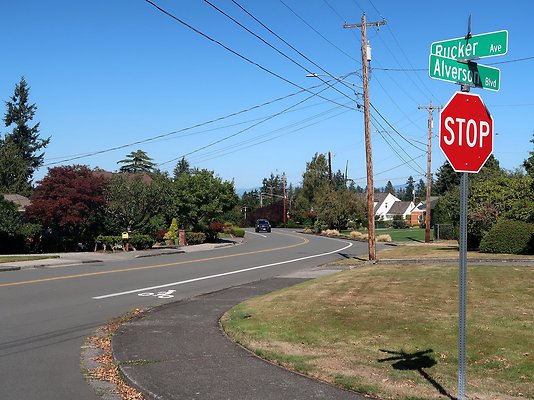 Rucker and 8th Everett Residential Streets - 60