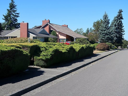 Rucker and 8th Everett Residential Streets - 40