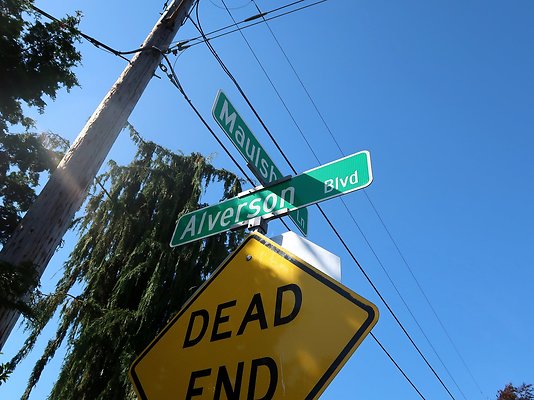 Rucker and 8th Everett Residential Streets - 97
