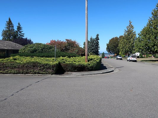 Rucker and 8th Everett Residential Streets - 8