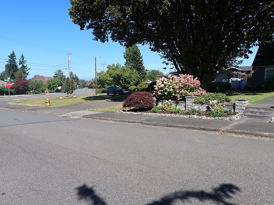 Rucker and 8th Everett Residential Streets - 55