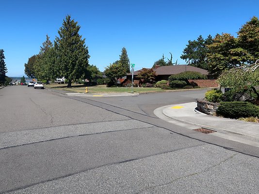 Rucker and 8th Everett Residential Streets - 16