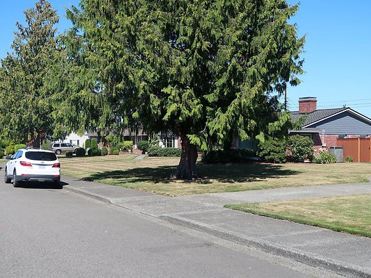 Rucker and 8th Everett Residential Streets - 42
