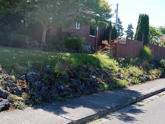 Rucker and 8th Everett Residential Streets - 19