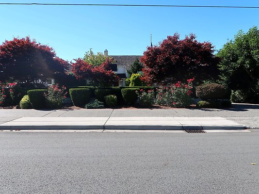 Rucker and 8th Everett Residential Streets - 105