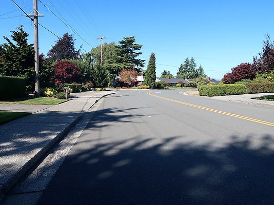 Rucker and 8th Everett Residential Streets - 110