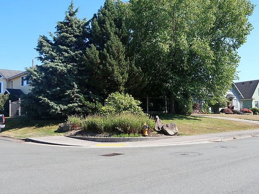 Rucker and 8th Everett Residential Streets - 126