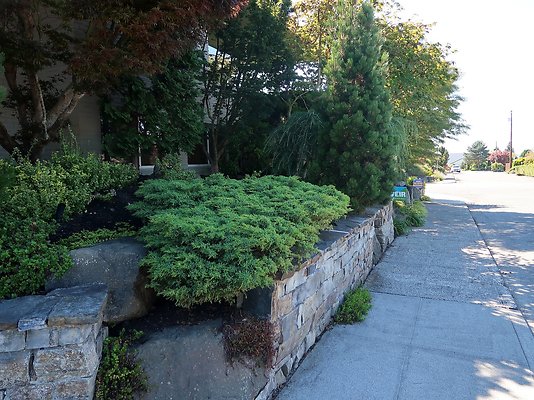 Rucker and 8th Everett Residential Streets - 27