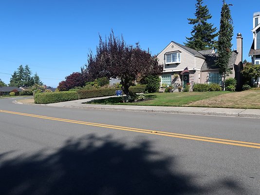 Rucker and 8th Everett Residential Streets - 111
