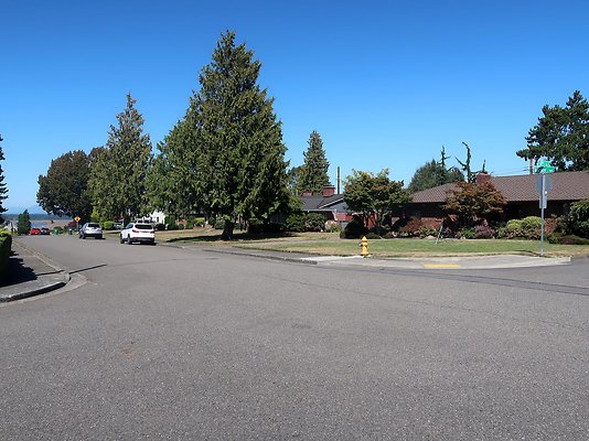 Rucker and 8th Everett Residential Streets - 9