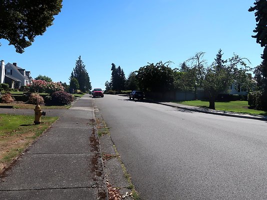 Rucker and 8th Everett Residential Streets - 61