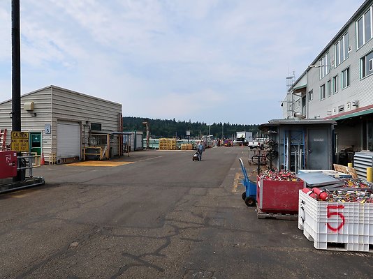 Cathlamet Docked at WSDOT Eagle Harbor  - 277