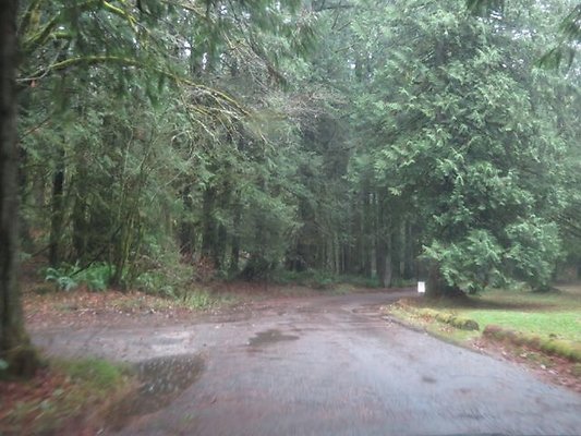 silverlakepark whatcom - 5