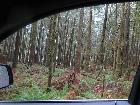 silverlakepark whatcom - 15