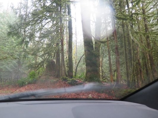 silverlakepark whatcom - 85