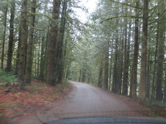 silverlakepark whatcom - 51