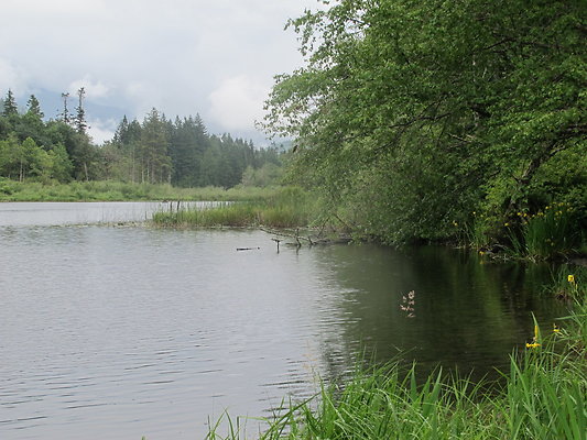SilverLakePark 17