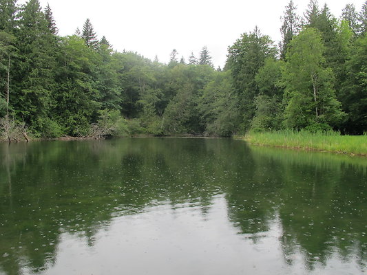SilverLakePark 52