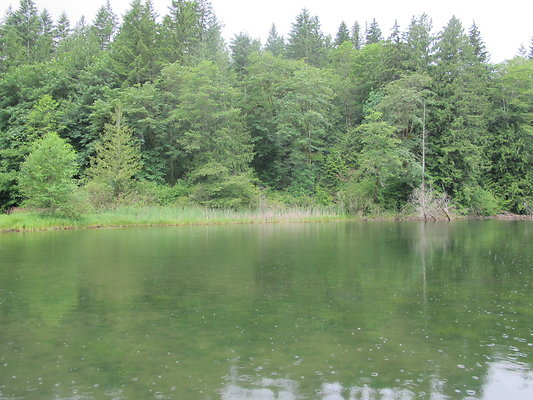 SilverLakePark 51
