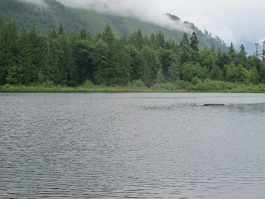SilverLakePark 16