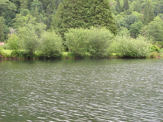 SilverLakePark 14