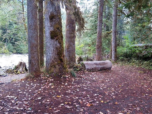 Backman county park snohomish - 61