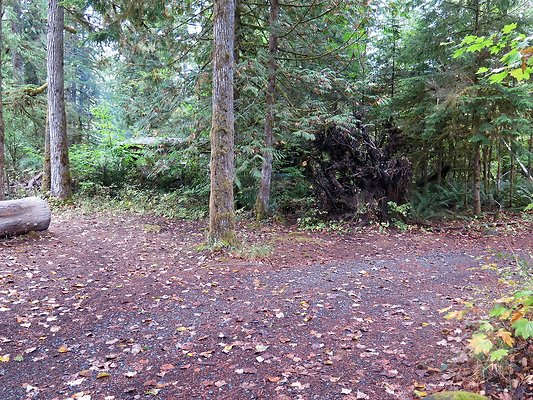 Backman county park snohomish - 62