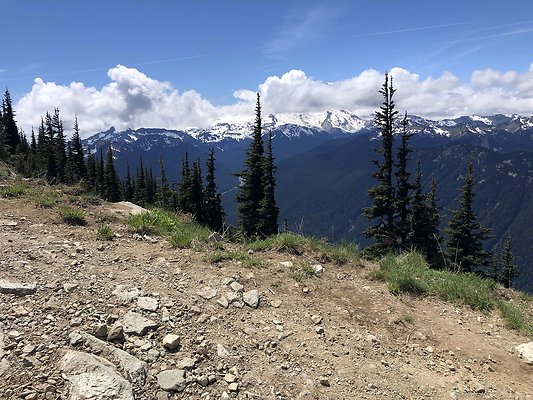 Crystal 2019 - 36
