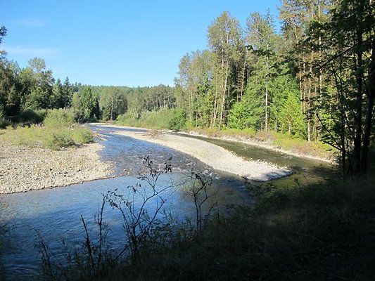 RiverRanch100