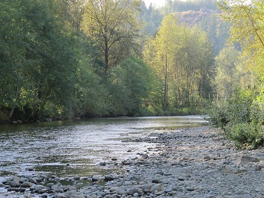 RiverRanch141