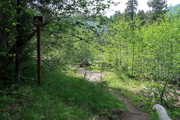 Cowlitz river public access - 5
