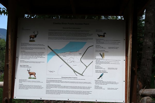 Cowlitz river public access - 1