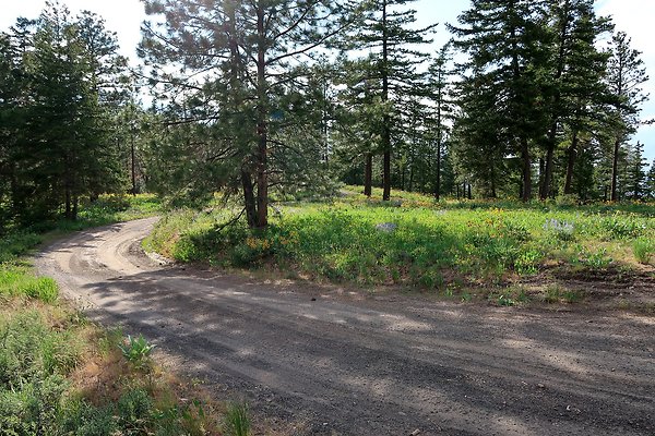 Waterville WA Douglas County  - 112