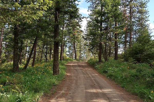 Waterville WA Douglas County  - 117