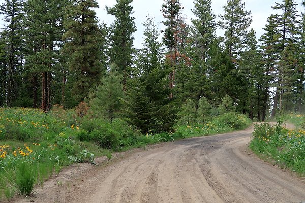Waterville WA Douglas County  - 95