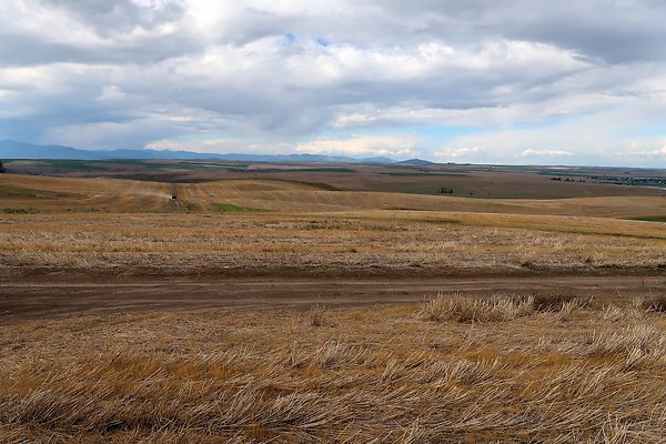 Waterville WA Douglas County  - 73