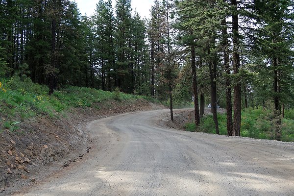 Waterville WA Douglas County  - 93
