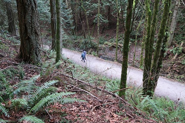 Lake Padden Park Bellingham - 96