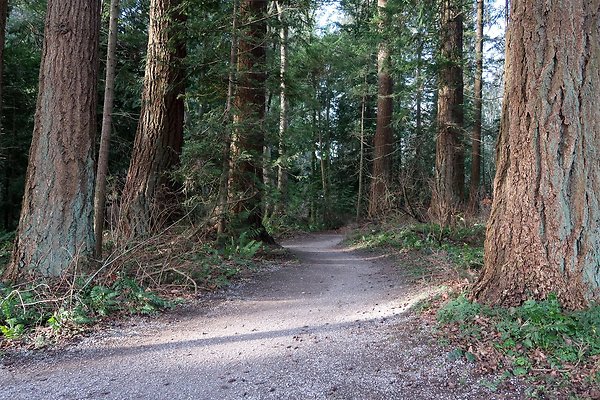 Lake Padden Park Bellingham - 16